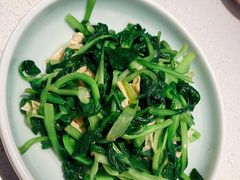 邹山腐皮鸡毛菜-竹外桃花·江南小酒馆(SKP·S店)