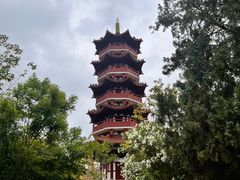 -云龙山
