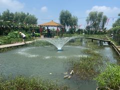 -同銮特种养殖场·龙虾垂钓