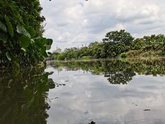 -小洲村