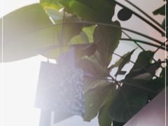 -渔芙南(三里屯店)