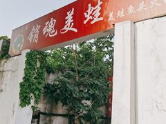 -销魂美蛙鱼头火锅(上海首店)