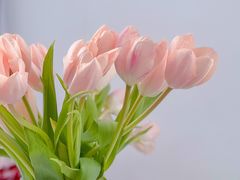 -盛邦家居建材广场