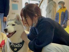 -Husky Go! 哈士奇体验馆·宠物咖啡厅狗咖