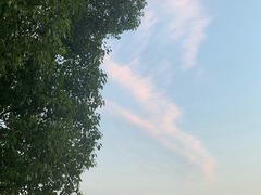 -尚贤河湿地