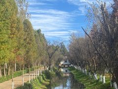 -捞渔河湿地公园