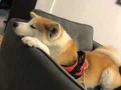 -YCHL Studios健身工作室(市二宫店)