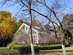 -上海市保健医疗中心