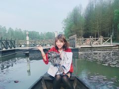 -溱湖国家湿地公园