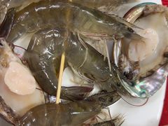 -花苑美食横琴生蚝火锅(拱北粤华路店)