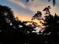-宝安西湾红树林湿地公园