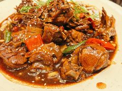 红烧老鹅-梁溪河畔·吉府花园(南长街南下塘店)