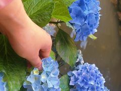 -勺子米线·云南传统小吃市集(四方街店)