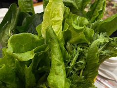 -老城红焖羊肉(人民路店)