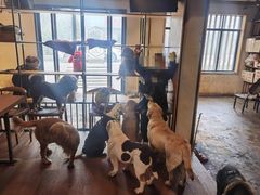 -萌喵咖啡屋(人民东路4号口M16商铺店)