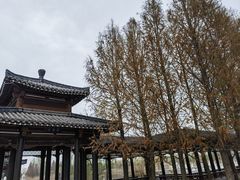 -南湖国家城市湿地公园