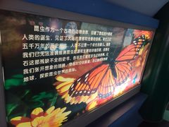 -上海昆虫博物馆