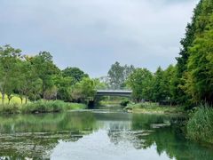 -洋湖国家湿地公园