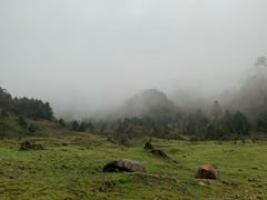 -硗碛藏寨·神木垒景区