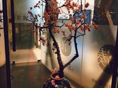 -湊湊火锅·茶憩(石家庄万象城店)
