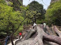 -狼牙山风景区