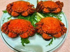 -天福苑(崇宁路店)