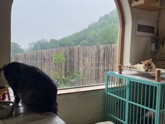 -小时光咖啡馆(开森度假森林店)