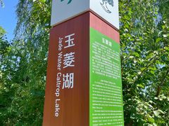 -东郊湿地公园