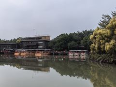 -大湾区中央湿地公园