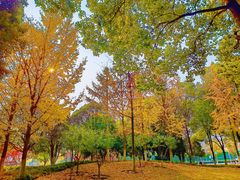 -后襄河公园