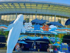 -海合安成都极地海洋公园