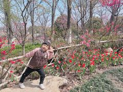 -圩墩遗址公园