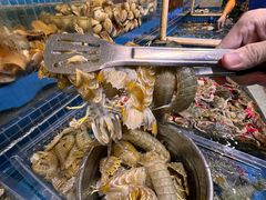 -乔哥铭洋海鲜自助(皇城恒隆广场店)