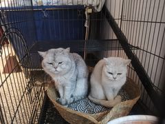 -她说户外烧烤团建(西湖店)