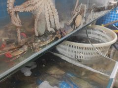 -宾朋海鲜饭庄(兴海路店)