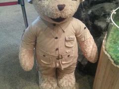 -济州岛泰迪熊博物馆