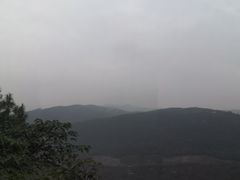 -铁山坪森林公园