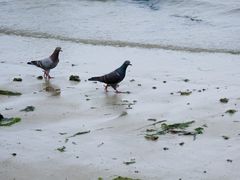 -霞山观海长廊