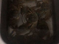 -泉州丰泽新华都百货(丰泽广场店)