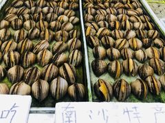 -南沙十九涌渔人码头-南门