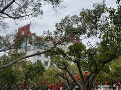 -厦门大学(思明校区)