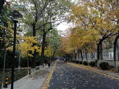 -山东师范大学(千佛山校区)