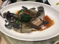 -绿岛国际酒店·海鲜酒楼(八七路店)