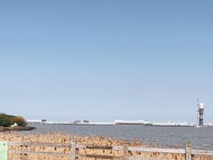 -上海吴淞炮台湾国家湿地公园