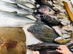 -渔码头食府·20年蓬莱老字号(登州路店)