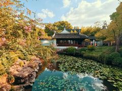 -上海醉白池公园
