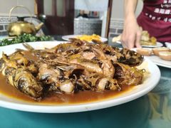 -金台阶鱼馆(于桥水库店)