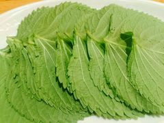 苏子叶-萨拉伯尔水源素问店·韩国宫廷料理(人民路店)