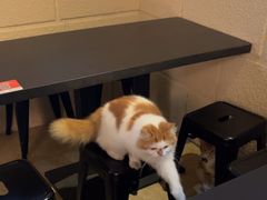 -逃脱反斗城沉浸剧情密室(北京路店)