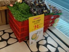 -百果园PAGODA(应元路店)